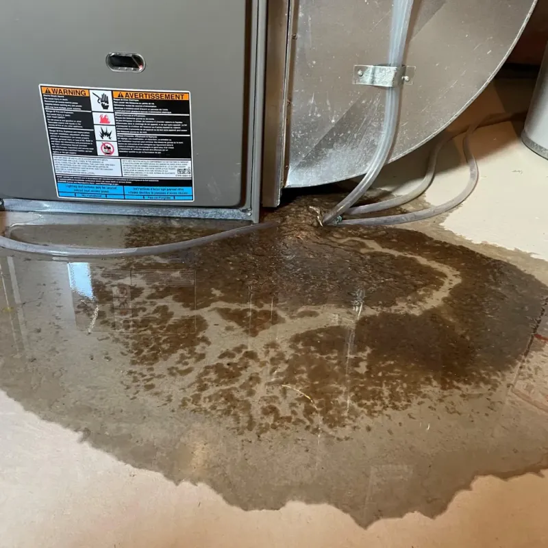 Appliance Leak Cleanup in Hawaiian Acres, HI