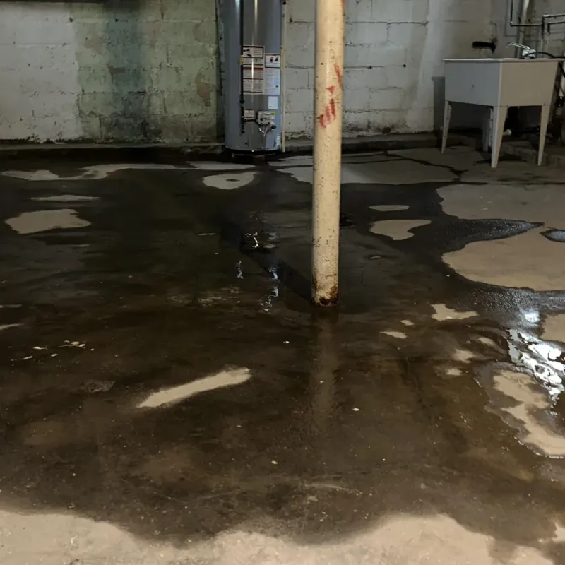 Emergency Water Extraction And Removal in Hawaiian Acres, HI